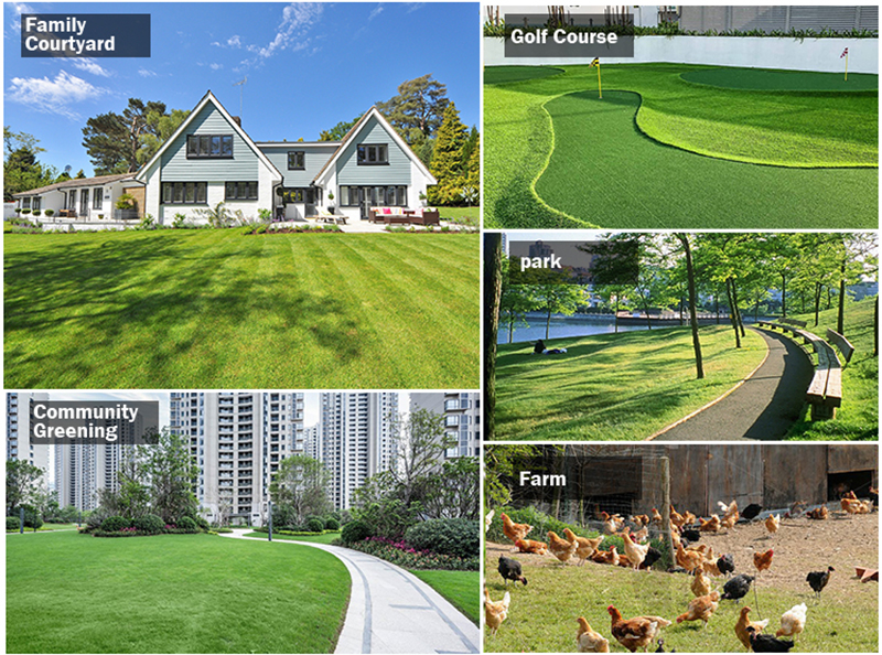 고효율 잔디 깎는 기계.jpg