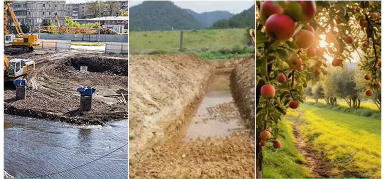 가장 큰 스키드 스티어